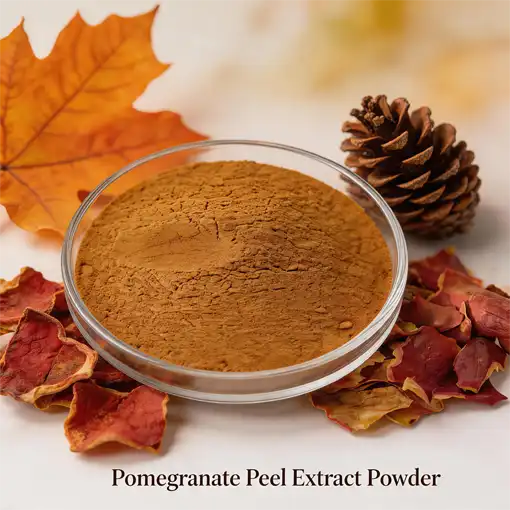 How Effective Is Pomegranate Seed Extract Powder for Health?